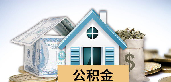 2025年车贷利率计算器:精准估算贷款利息